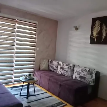 אכסניה Simic Tara *