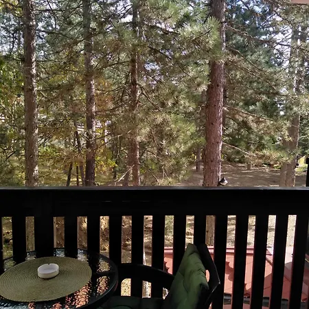 Simic Tara אכסניה