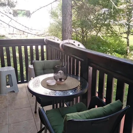 אכסניה Simic Tara