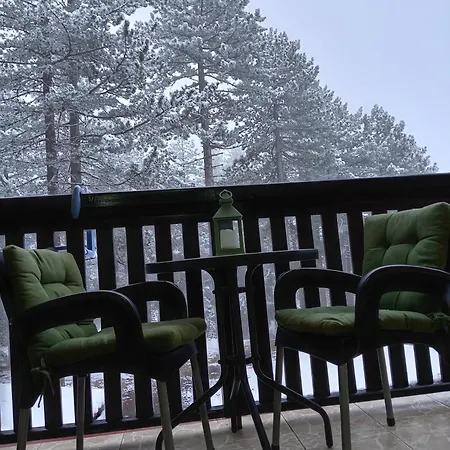 Simic Tara אכסניה *