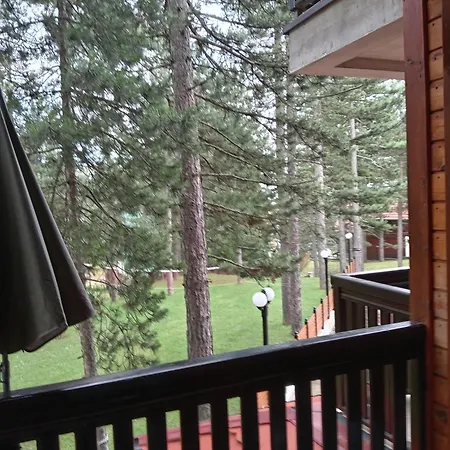 Simic Tara אכסניה *